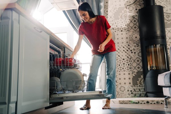 What are the top-rated dishwashers for UK households on a budget?